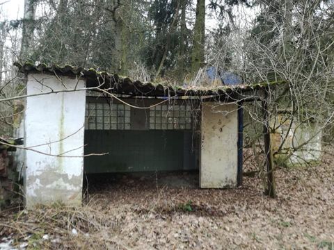 Foto 12